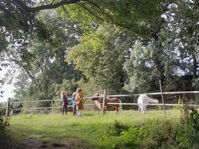 Bild 21 aus  Hof Hospitalmühle