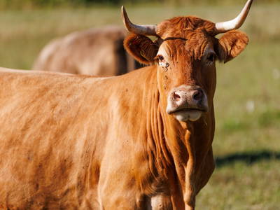 Bild 7 aus  Der Wassermannshof