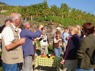 Bild 9 aus  Winzerhof + Gästehaus Schätzle