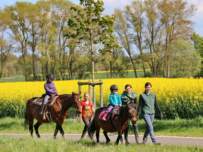 Kleiner Ponyausritt für Kinder
