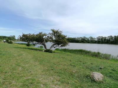 Bild 26 aus  Nordseefewo Lämmerblick