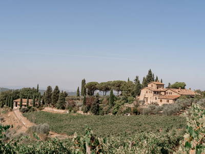 Bild 12 aus  LandSelection Weingut "IL PALAGIO"