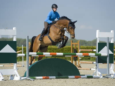 Bild 22 aus  Bernsteinreiter Hirschburg