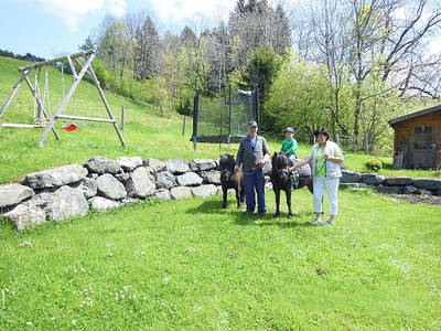 Bild 32 aus  Ferienhof Rasch