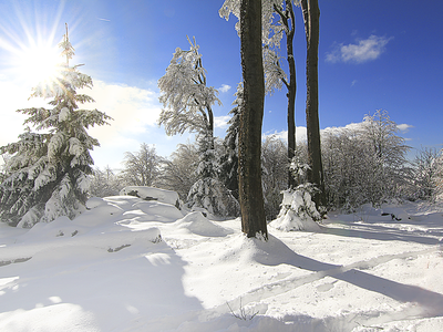 Bild 47 aus  Paulas Bauernhof im Bayerischen Wald