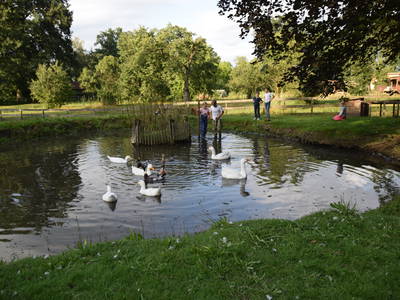 Bild 17 aus  Pension Eichenhof , Räderloh