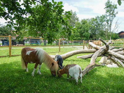 Bild 34 aus  Keilhof