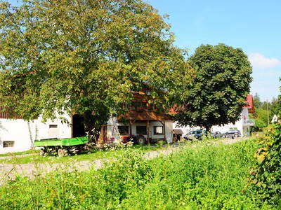 Bild 13 aus  Ferienhof Hopfgärtle Müller