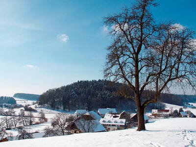 Hofgut Schleinsee - auch im Winter ein Paradies