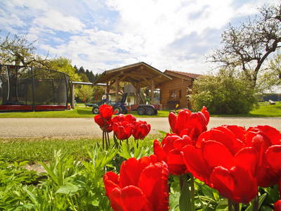 Bild 10 aus  Frankhof