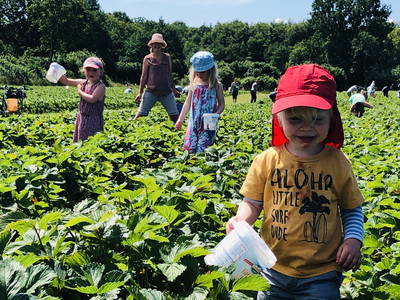 Bild 17 aus  Alter Bahnhof Vaale