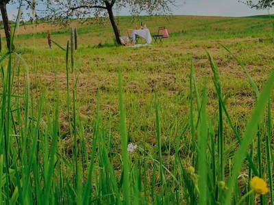 Bild 25 aus  Tiny House Odenwald