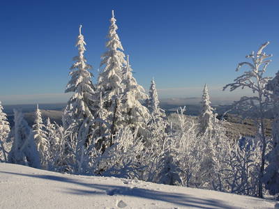 Bild 35 aus  Grashöfle