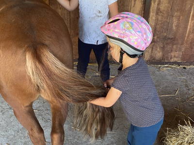 Bild 29 aus  Ferienhof Schlünzen