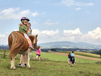 Bild 17 aus  Ponyferienhof