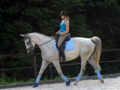 Bild 12 aus  Hof Carmshausen & Pension Hotze