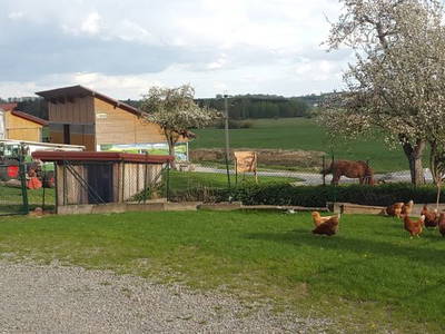 Bild 8 aus  Ferienhof Neher
