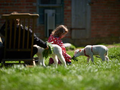 Bild 2 aus  Gut Friederikenhof