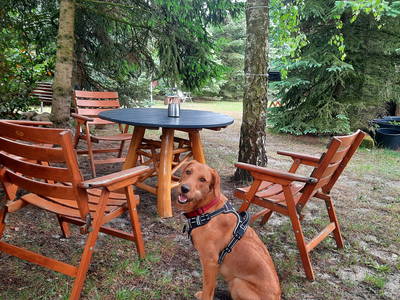 Eingezäuntes Gartengrundstück