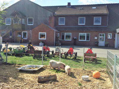 Bild 9 aus  Schwalbenhof