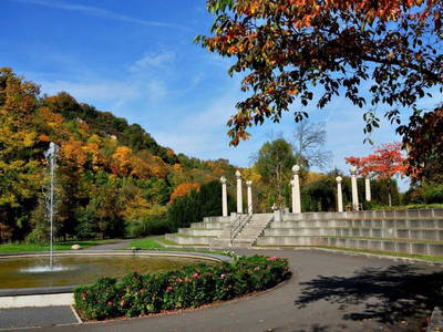 Bild 24 aus  Weingut Butzbach