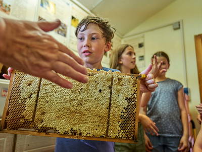 Bild 55 aus  Urlaub am Schoffahanslof im Bayerischen Wald: Natur, Abenteuer & Erholung für die ganze Familie“