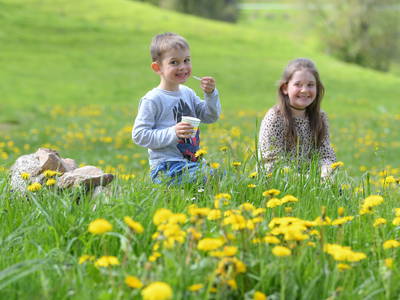 Bild 10 aus  Kernenhof