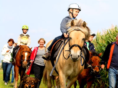Bild 9 aus Büdl'farm - Der Familien-Erlebnishof