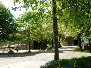 Ferien-Ponyhof Sye aus Prasdorf