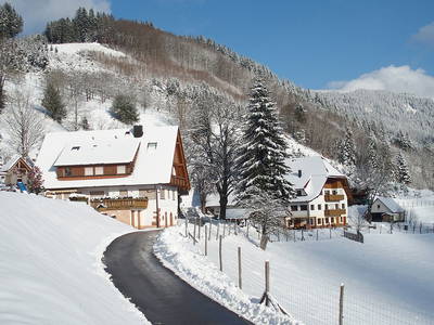 Bild 13 aus  Hirzighof