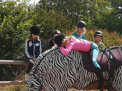 Bild 35 aus  Freizeit- und Ferienreiterhof Odenwald