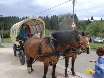 Bild 10 aus  Ferienhäuser Gerber
