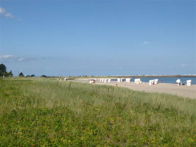 Bild 10 aus  Ferienhof Siemen