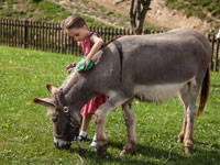 Bild 6 aus  Ferienhof Soyer