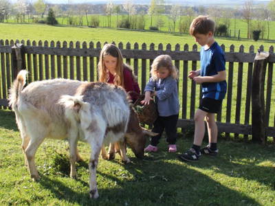 Bild 24 aus  "Höhenhof - Erlebnisbauernhof"