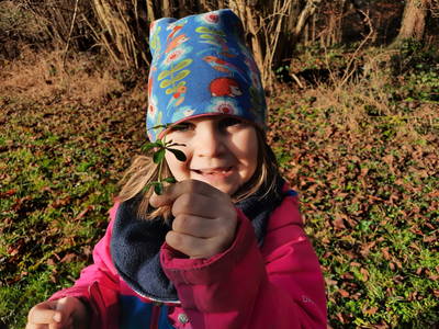 Bild 20 aus  Erholung - Natur pur - Urlaub auf dem Loyerhof