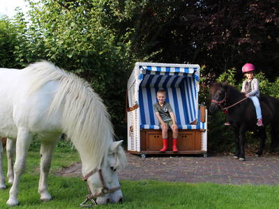 Bild 10 aus  Ferienhof Rickerts