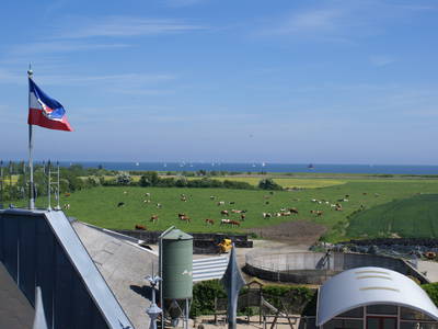 Die Ostsee im Hintergrund.
