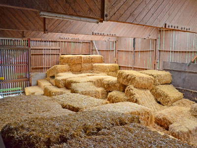 Bild 15 aus  Rouvenhof