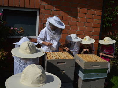 Bild 24 aus  Hof in de Wisch - Natur-Erlebnishof für Neugierige
