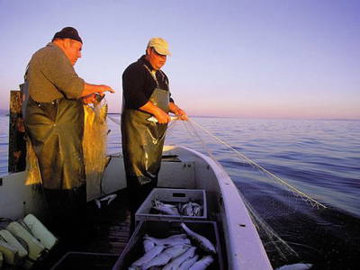 Bild 18 aus  LandSelection Naturresort Gerbehof
