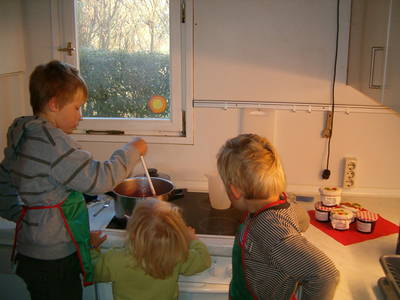 Bild 11 aus  Hof  Schmörholm Urlaubs- und Früchtehof