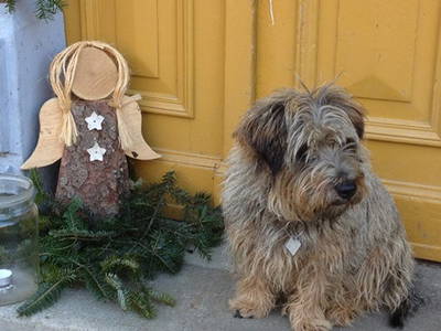 "Engele und Bengele"