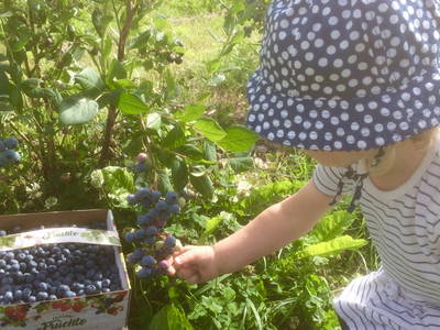 Bild 24 aus  Müritz-Hof Knust