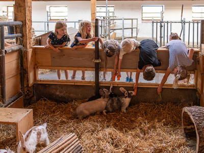 Bild 12 aus  LandSelection Hagerhof