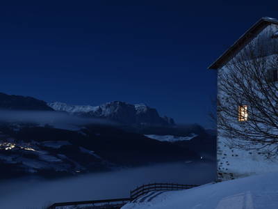 Gravetsch in einer Vollmondnacht im Winter