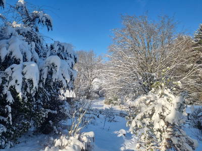 Bild 25 aus  KlangHoff