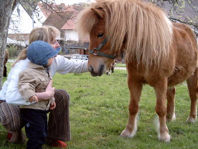 Bild 5 aus  Ferienhof Am Wunderberg