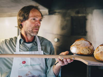 Bild 11 aus  Sigmundenhof