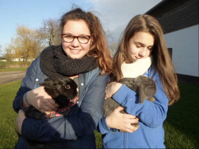 Bild 27 aus  Nübbelhof